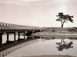 San Francisco Chrissy Field